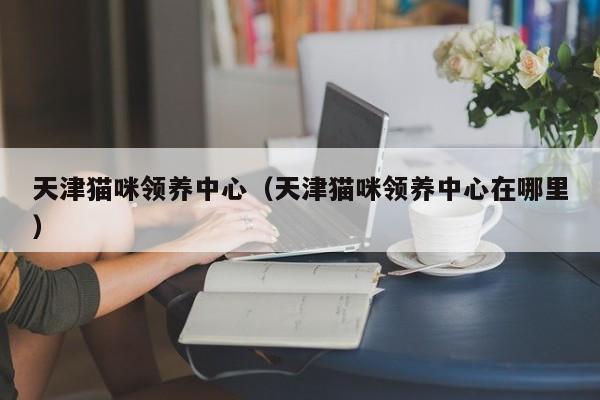 天津猫咪领养中心（天津猫咪领养中心在哪里）