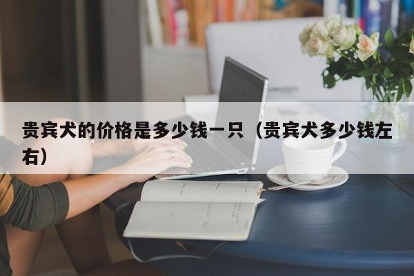 贵宾犬的价格是多少钱一只（贵宾犬多少钱左右）