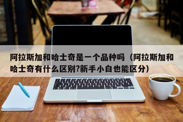 阿拉斯加和哈士奇是一个品种吗（阿拉斯加和哈士奇有什么区别?新手小白也能区分）