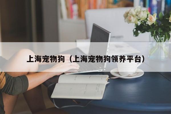 上海宠物狗（上海宠物狗领养平台）