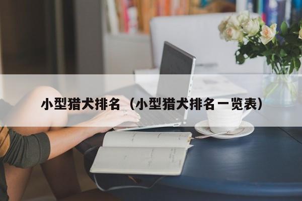 小型猎犬排名（小型猎犬排名一览表）
