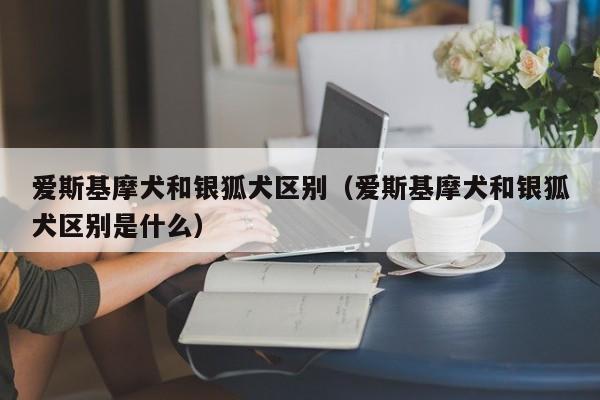 爱斯基摩犬和银狐犬区别（爱斯基摩犬和银狐犬区别是什么）