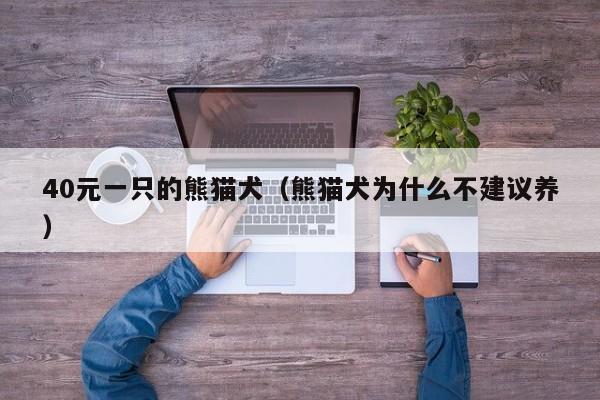 40元一只的熊猫犬（熊猫犬为什么不建议养）