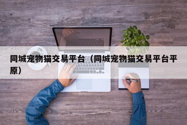 同城宠物猫交易平台（同城宠物猫交易平台平原）