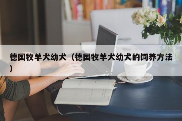 德国牧羊犬幼犬（德国牧羊犬幼犬的饲养 *** ）