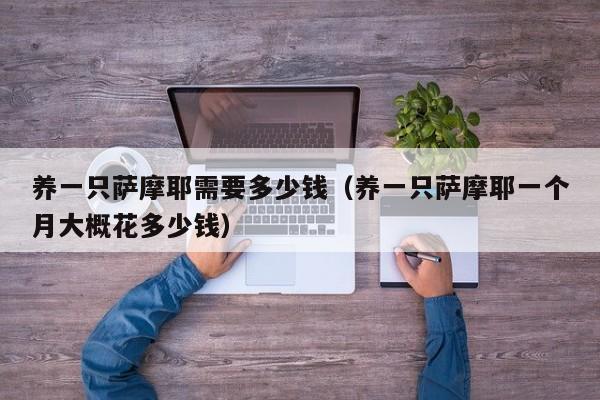 养一只萨摩耶需要多少钱（养一只萨摩耶一个月大概花多少钱）