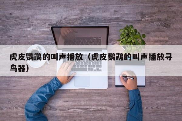 虎皮鹦鹉的叫声播放（虎皮鹦鹉的叫声播放寻鸟器）