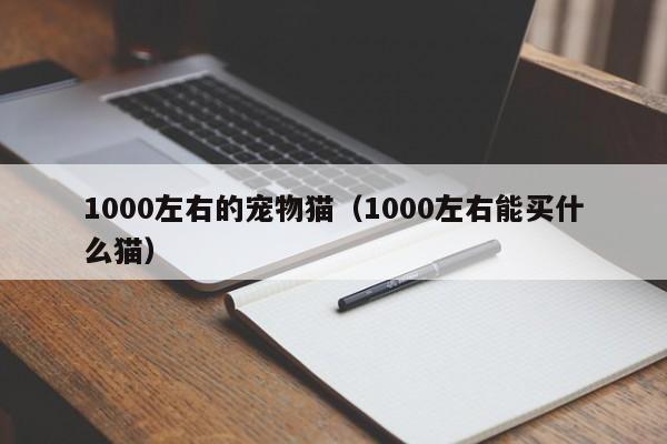 1000左右的宠物猫（1000左右能买什么猫）